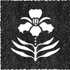 The Birthing Soul Pregnancy & Postpartum app logo