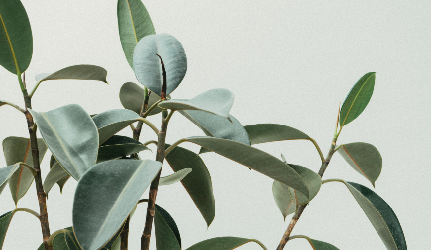 Acupuncture and Acupressure